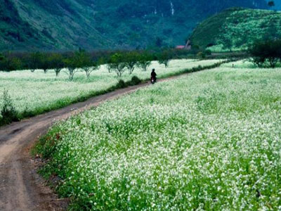 Mai Chau Tour