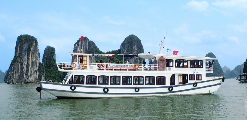 Alova Gold Cruise