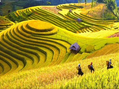 Sapa Tours | Sapa Trekking