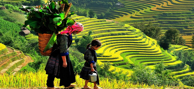 Sapa Vietnam