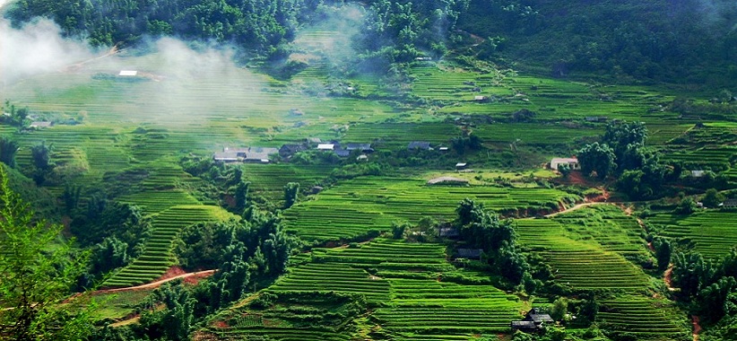 Sapa Trekking